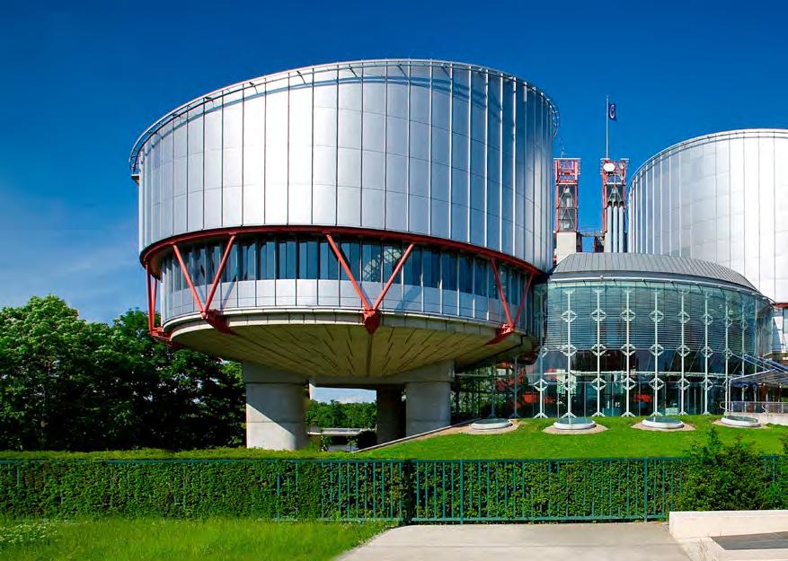 SALVGARDAREA DREPTURILOR OMULUI Consiliul Europei militează pentru libertatea de expresie și pentru libertatea presei, libertatea întrunirilor, egalității și protecția minorităților.