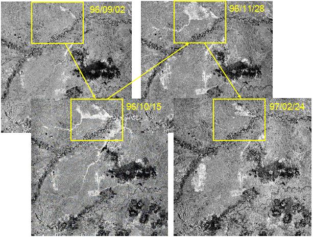 Flooding over forest areas: double reflection effects 25 SAR backscattering intensity by surface scattering is also affected by incidence angle and wavelength.