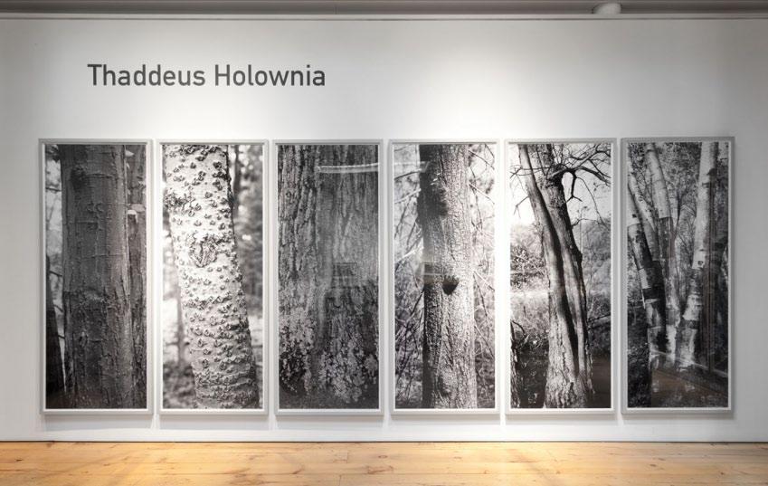 Holownia explores the relationship between place and history by photographing Walden Pond as it is today.