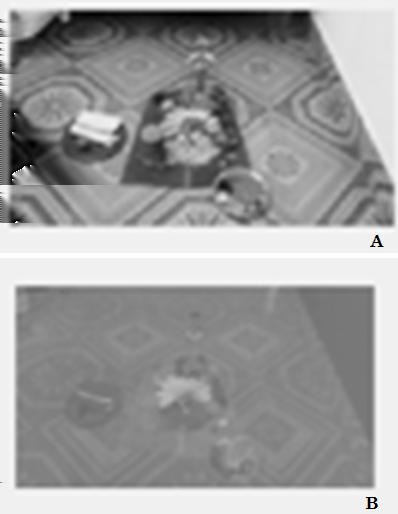 Sobel edge detection technique implementation for image steganography analysis Invisibility: The LSB algorithm utilize the fact that human eyes do not recognize the small color modifications.