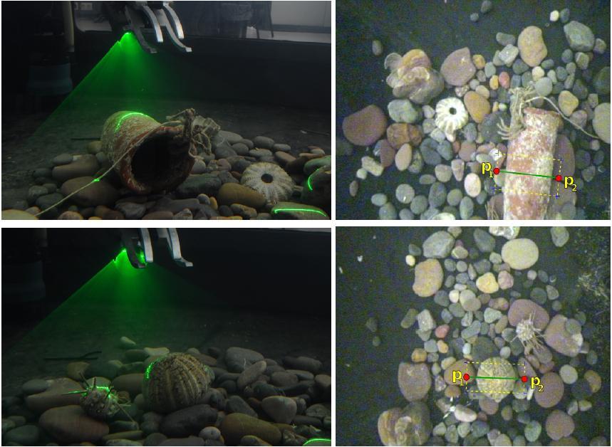 2 A laser scan of an amphora and a sea urchin (left), and the camera view and user grasp