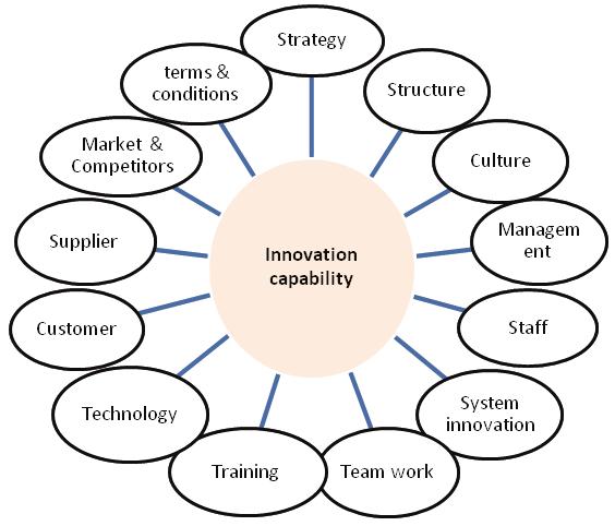 tion seems to be based on a functional view of the innovation. However, Innovation requires the innovation capability to have emerged.