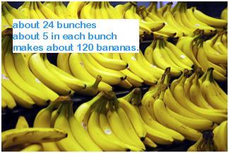 Free Pre-Algebra Lesson 4 page 9 Lesson 4: Exponents and Volume Homework 4A Answers 1. Estimate the number of bananas in the photo. 3. Round the number a. 678,901 to the nearest hundred thousand. b. 3,407 meters to 2 significant figures.
