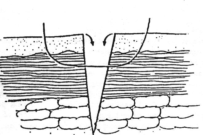 SUTURE SPACING Spacing between sutures is typically equal to the