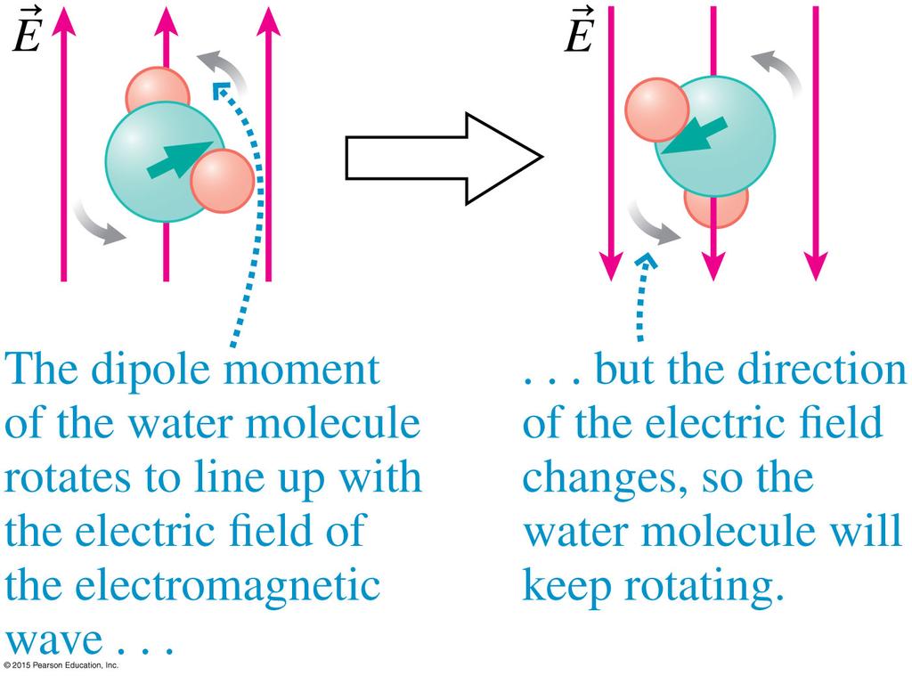 25.7 Radio waves and microwaves In a microwave oven, microwaves exert a torque on water molecules, which has a large dipole