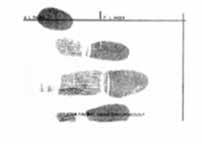 FINGERPRINTS Types of Fingerprints You will take two types of prints for FBI fingerprinting.