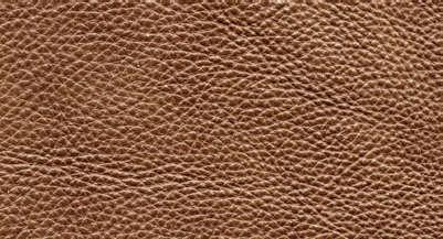 Guardian Protection Leather Care Program FOOD FOR THOUGHT: While leather is the most durable upholstery used for furniture today and can last for years, proper care, such as frequent cleaning and