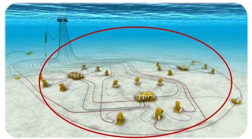 Example of a Large Subsea Project Petrobras Roncador