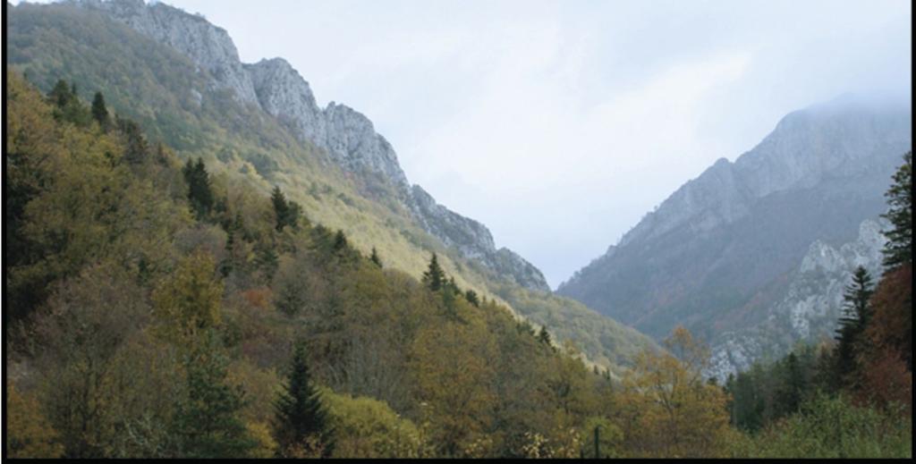 Navarra - Plains and Pyrenees This is a wonderfully varied and rich itinerary very suitable for the autumn or winter.