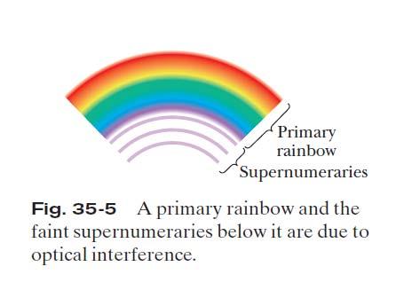 35.2: Light as a Wave, Rainbows and Optical Interference: Light waves pass into a water drop along the entire side that faces the