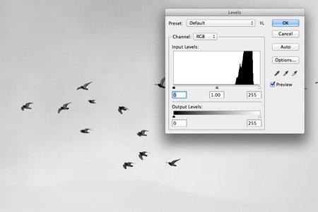 Open a stock image of a flock of birds and press CMD+Shift+U to desaturate.