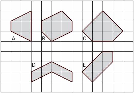 17. Here are some shaded shapes on a square grid. Write the letters of the two shapes which are hexagons.... and.