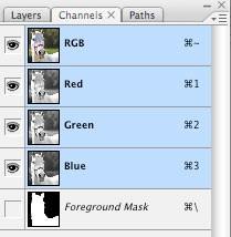 9. Click on your Foreground layer to be sure it s active. Open the Channels window by choosing Window > Channels. At the very bottom, there should be a Foreground Mask layer.