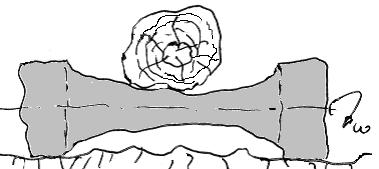 136 a doua se referea la faptul că un trunchi de rostogolire mai lung trebuie să depăşească mai multe denivelări ale ternului decât un trunchi de rostogolire mai scurt.
