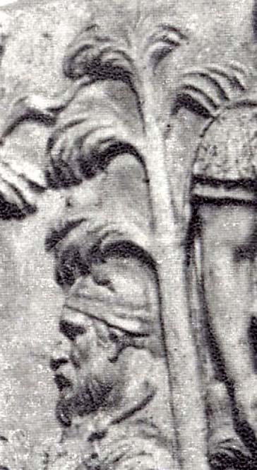 27 Fig. 5. Decebal apare pe Columna sub un... palmier.