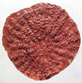 Impresiunea unei împletituri pe un fragment ceramic descoperit la Brînzeni Ţiganca, Republica Moldova (faza Cucuteni B 3 ). a.