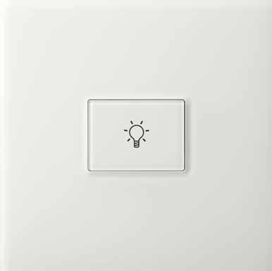 Controls that perfectly match your design Lutron controls have always been well known for their beautiful aesthetic, intuitive nature, and variety of standard choices.