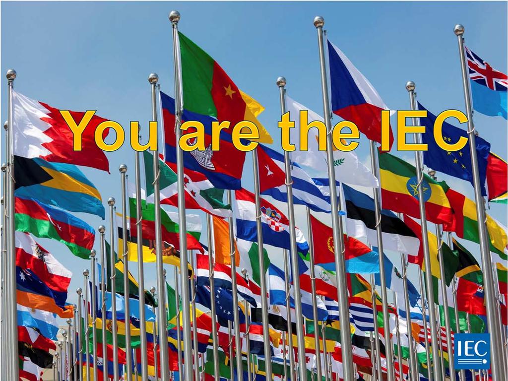 You are the IEC.