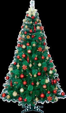 99 5ft Picea Omrika Potted Tree 47.99 01 02 Save 50 64