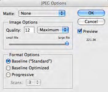 If you are saving images for publication and print uses, uncompressed TIFF is your best file format. For PowerPoint and Web uses, however, a slightly compressed JPEG format is preferred.
