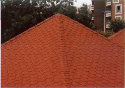 5 kg per square metre weight *, shingles offer the user obvious benefits by making the site work more manageable, reducing the dimensions of supporting structures in new buildings and renovation