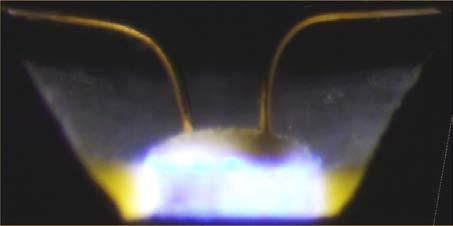 Spectrum of White LEDs yellow Phosphor emission combined