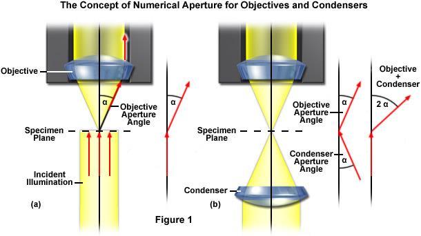 Numerical aperture In optics, the numerical aperture (NA) of an optical system is a dimensionless number that