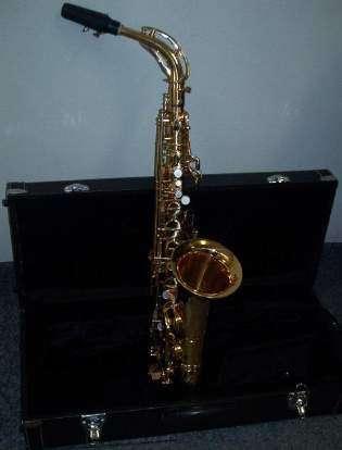 Case TENOR SAXOPHONE Durable Lined