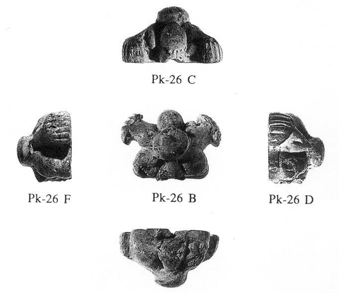 Figures 40 and 41 indicate truly miniature objects with complex (Figure 40) or animal like external shape (Figure