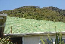 Repainting roofs in poor condition Treat moss and mould with Resene Moss &