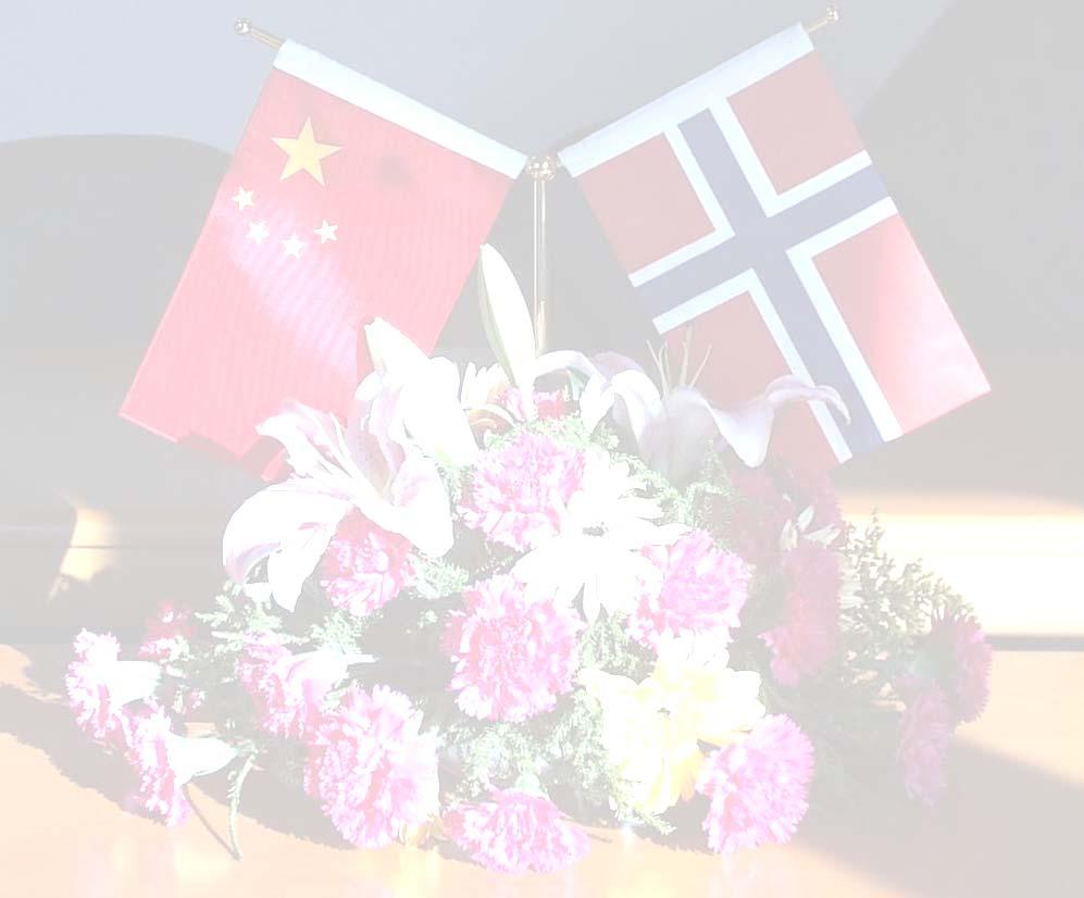 Formal Cooperation agreements with Chinese institutions General: Peking University, Fudan University, Nanjing University, Wuhan University, Chinese Academy of Social Science Network: Nordic Centre in