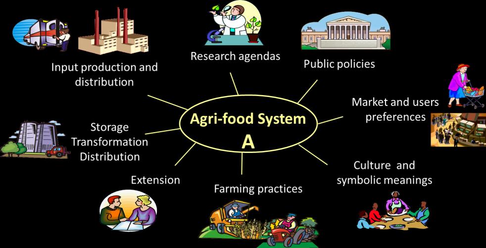 Results 3 case studies identification of transition processes Input production and distribution Storage Transformation Distribution Extension Research agendas Agri-food System B Farming