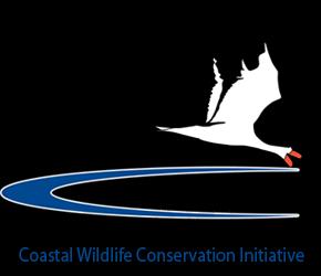 Contact: Blair Hayman Coastal Wildlife Conservation Initiative