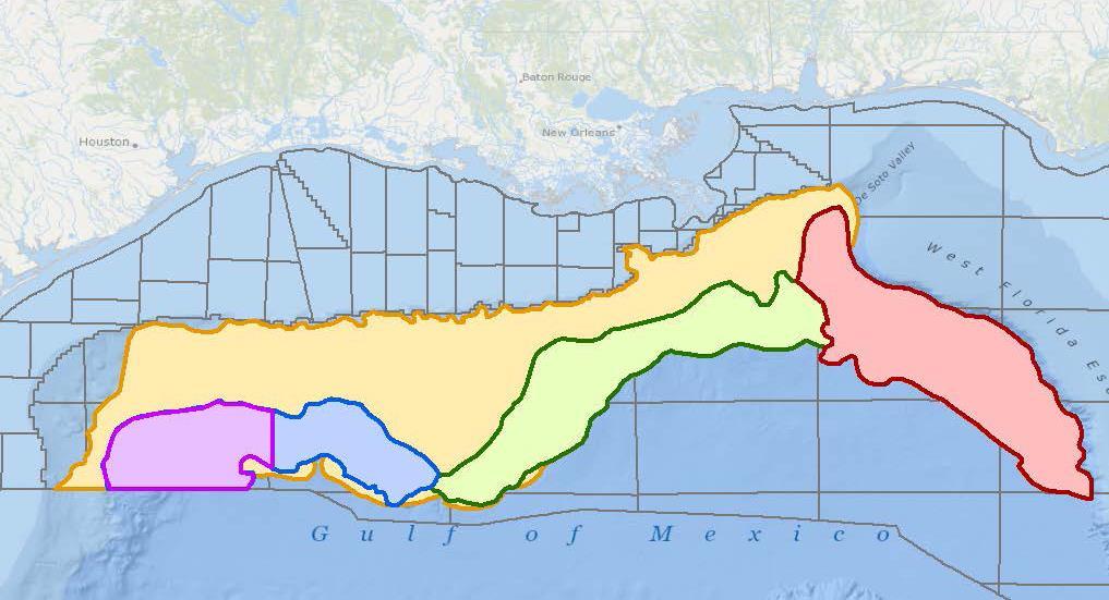 US GULF OF MEXICO DEEPWATER PLAY TYPES GoM