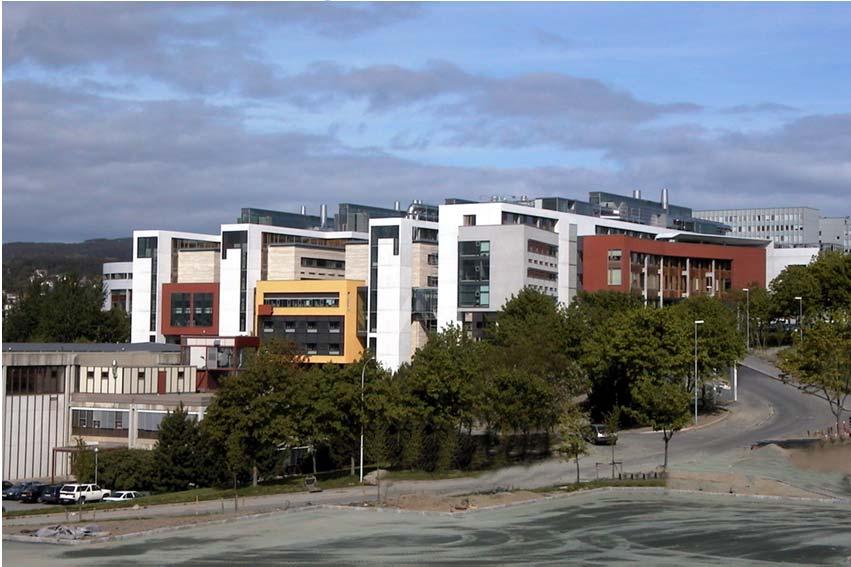 11 Faculty of Natural Sciences and Technology (NT)