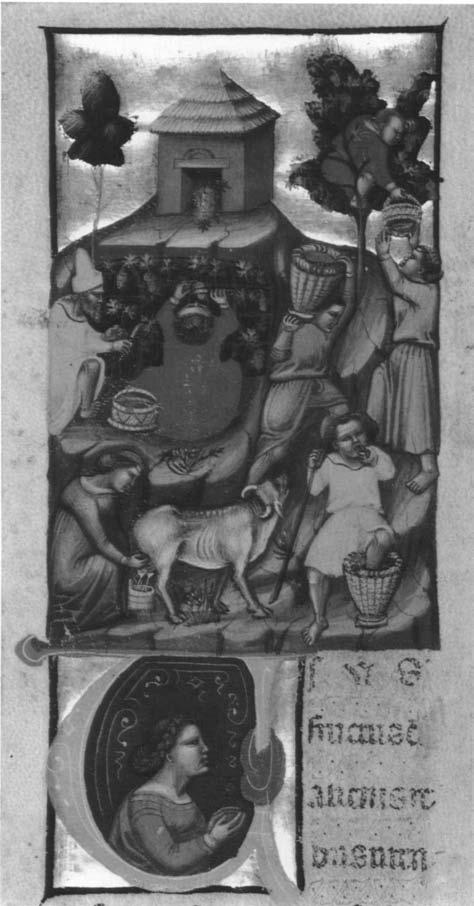 122 de Veer-Langezaal figure 1 The Illustratore (Italian [Bologna, act. ca. 1330-45]). Harvesting Scene (0.7), ca. 1341.