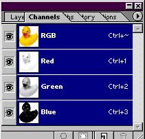 The Ducky image is made of a combination of three-color Channels, each containing a range of data relating to the primary colors in digital imaging, Red, Green, and Blue.