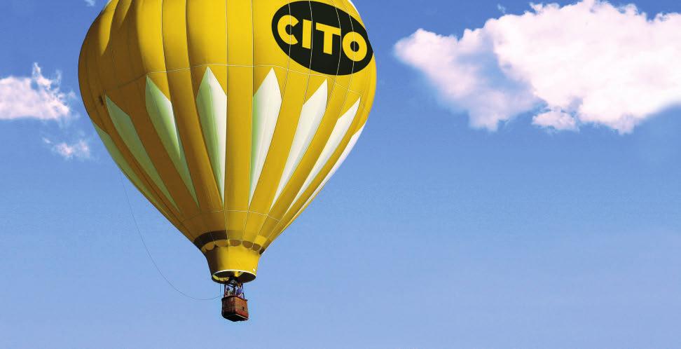 Philosophy of CITO GROUP partner for success CITO will enjoy long-term success as a company.