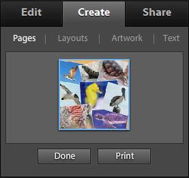 5. Click OK. Photoshop Elements creates the photo book and displays Pages, Layouts, Artwork, and Text tabs in the Create panel (Figure 3). 6.