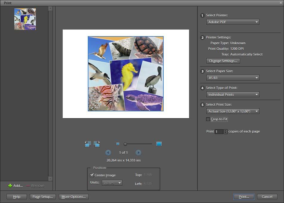 11. When you are satisfied with the collage, click the Print button in the Create panel. The Print dialog box opens (Figure 6). 12.