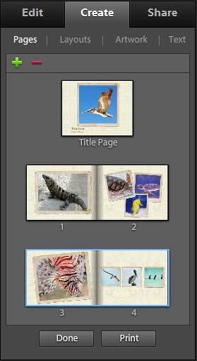6. Click OK. Photoshop Elements creates the photo book and displays Pages, Layouts, Artwork, and Text tabs in the Create panel (Figure 8). 7.