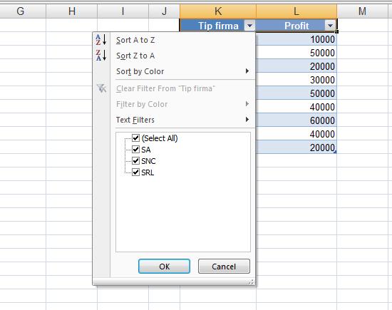 3. L i st e şi tab e le Excel va aplica formatarea automată întregului tabel, iar pe linia de antet va adăuga filtre în dreptul fiecărei coloane ( Figura 3.20).