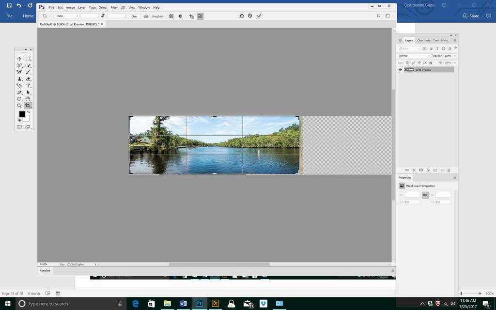 The next step is to crop the image. We need to crop the sides, to eliminate extraneous canvas and artifacts in the image.