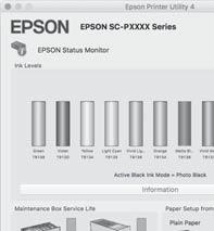 Checking printer status from the printer driver 31 Checking printer status from the printer driver The Epson Status Monitor utility installed with your printer driver lets you check the levels of ink