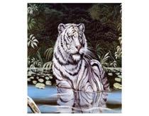 Wildlife Queen Size Blanket 014-00935 White Tiger Queen Size Blanket