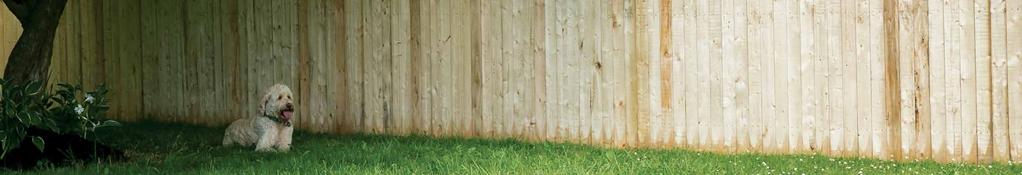 Your Fencing Options Buying wood fencing is