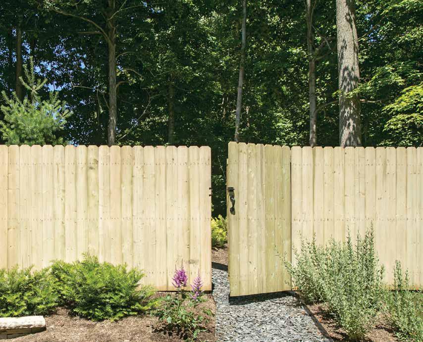 Dog-Ear Gate (Pressure Treated) (Actual Size: 71" H x 37 3 8" L) Dog-Ear Privacy Fence Panel 73000636 6ft. x 8ft.