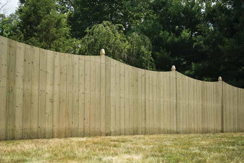 Scallop Top Square Top Scallop Top Fence Panel 73000618 6ft. x 8ft.