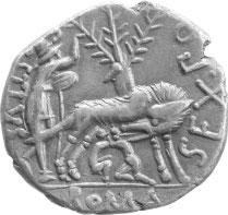 Epaticcus coins, that the engraver of one ruler decided to imitate this feature on the coinage of the other.
