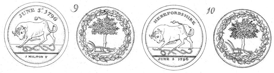 ROBERT BIDDULPH AND HIS BULL D.W. DYKES Fig. 1. Detail from Plate 22 of Charles Pye s Provincial Coins and Tokens issued from the Year 1787 to the Year 1801.